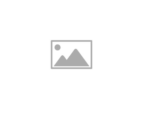logo-placeholder